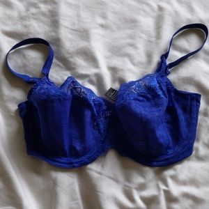 Panache Envy 32F Blue Bra